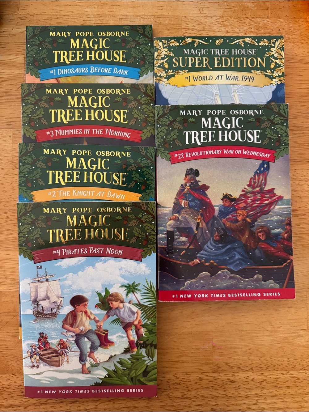 Magic Tree House Book Set